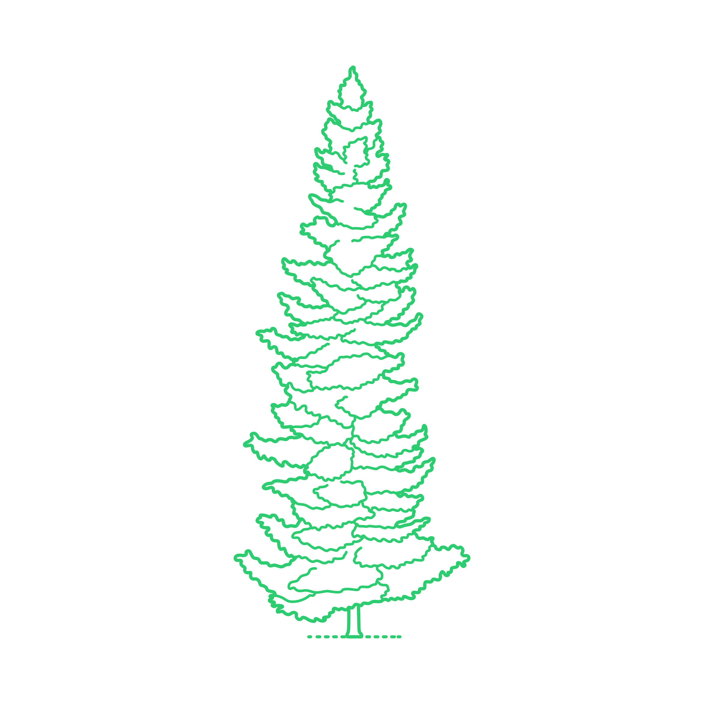Plants Spruces Sketch Drawing Svg Free Vectors